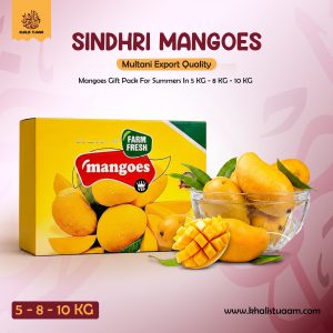 Sindhri Export Quality Multani Mangoes
