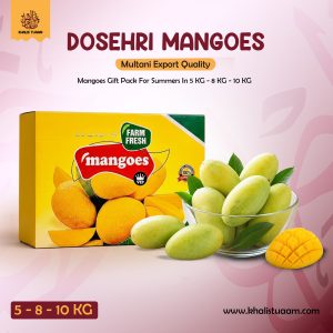 Dusehri Export Quality Multani Mangoes